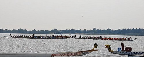 W020260812007401815869.jpg
